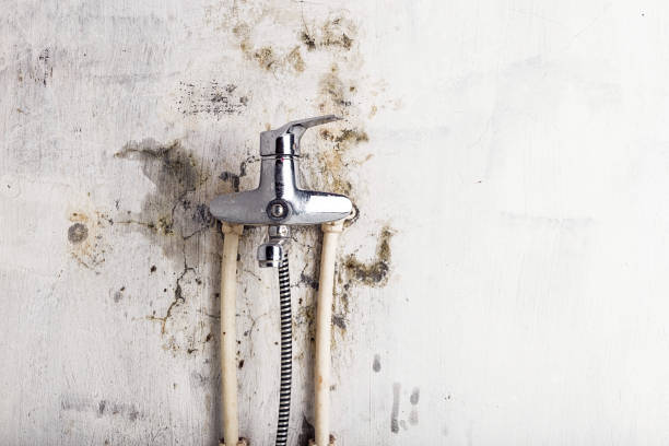 Best HVAC Mold Remediation in Clarksville, TX