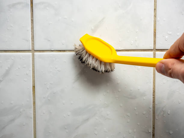 Best Localized Mold Remediation (e.g., coastal areas, humid climates) in Clarksville, TX