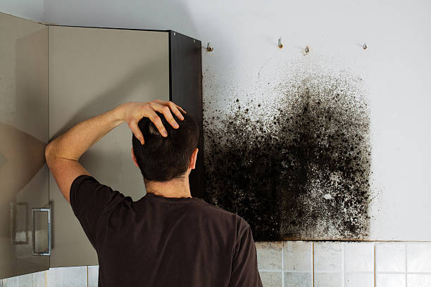 Best Post-Flood Mold Remediation in Clarksville, TX